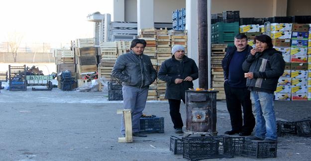 Erzurum Halinde soğuktan meyve ve sebzeler dondu