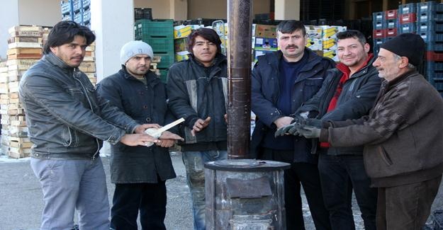 Erzurum Halinde soğuktan meyve ve sebzeler dondu