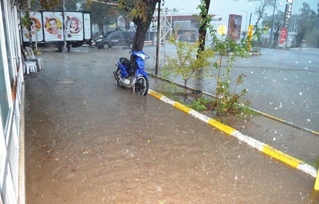 Ayvalık’ta hortum ağaçları devirdi, çatıları uçurdu