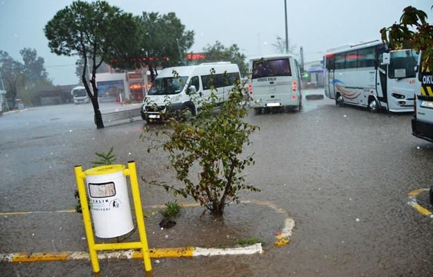 Ayvalık’ta hortum ağaçları devirdi, çatıları uçurdu