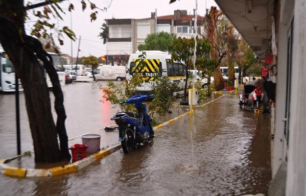 Ayvalık’ta hortum ağaçları devirdi, çatıları uçurdu