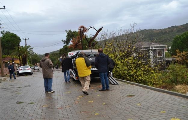 Ayvalık’ta hortum ağaçları devirdi, çatıları uçurdu