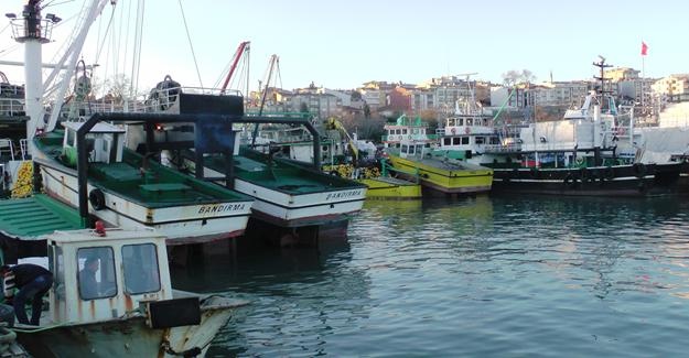 Karadeniz'de hamsi bereketi