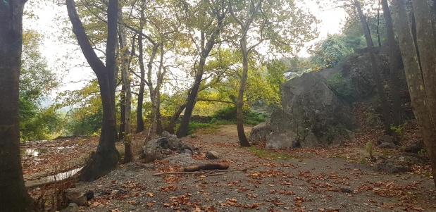 Narlıdere Köyü