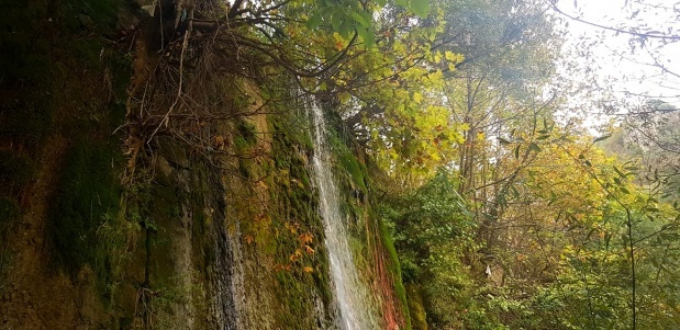 Narlıdere Köyü