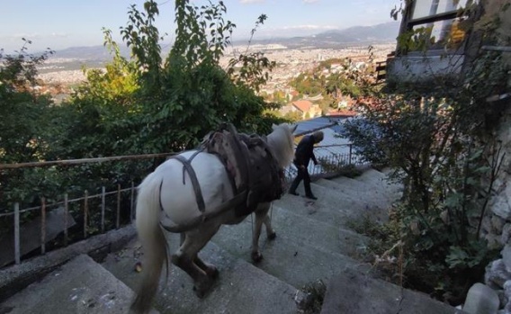 Bursa'da O Mahallelere Atıyla Yük Taşıyor