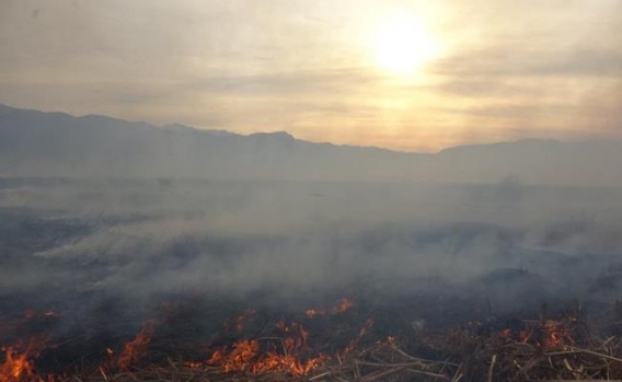 Hakkari Nehir Sazlığı Yangını