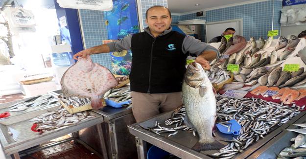 Mudanya’da balık bereketi