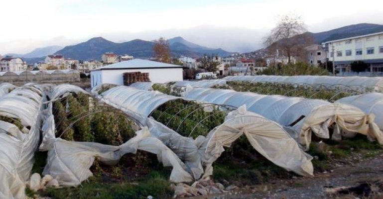 Antalya'da fırtına seraları uçurdu