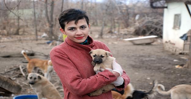 Bahçesinde 100’e yakın sokak köpeğine bakıyor