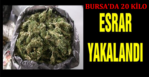 Bursa'da 20 Kilo Esrarla Yakalandı