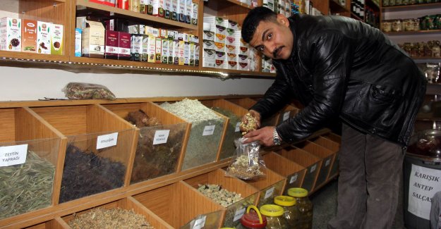 Doğal antibiyotiğe yoğun ilgi