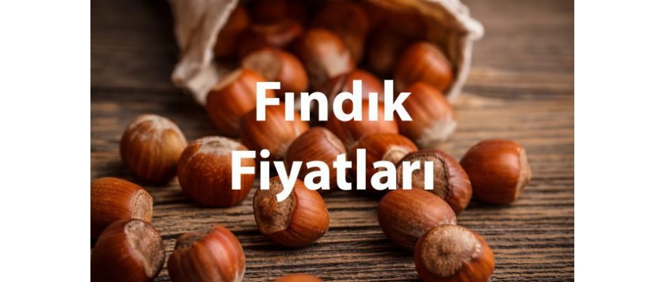 Fındık fiyatı yerinde sayıyor