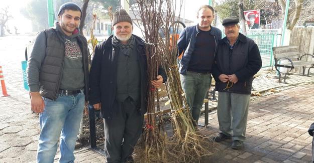 Meyve fidanları Nilüfer Belediyesi’nden