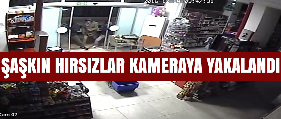 Şaşkın hırsızlar kameraya yakalandı