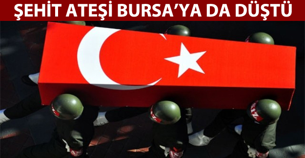 Şehit ateşi Bursa’ya da düştü