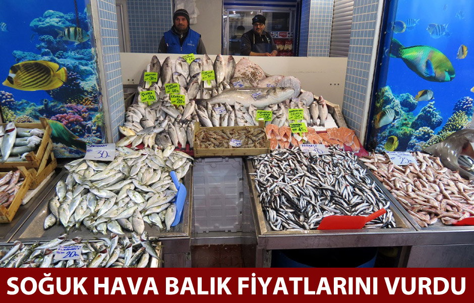 Soğuk hava balık fiyatlarını vurdu