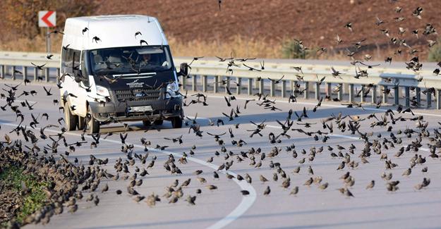 Soğuk onları da vurdu, binlercesi kara yolunu kapattı