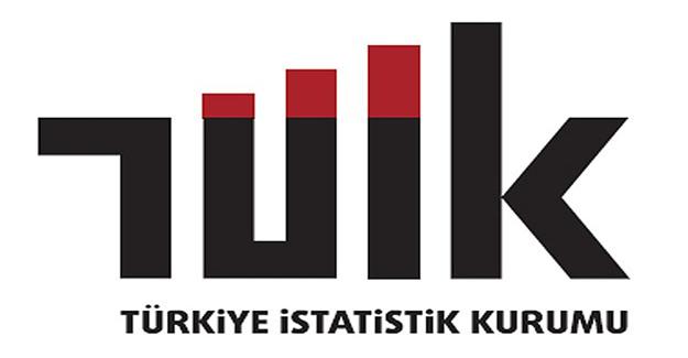 TÜİK mali aracı kuruluş istatistiklerini açıkladı