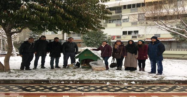 Gemlik'te Sokaktaki Dostlar Unutulmadı