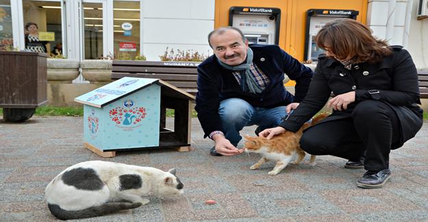 Mudanya Belediyesi'nden Sessiz Dostlara Mama Desteği