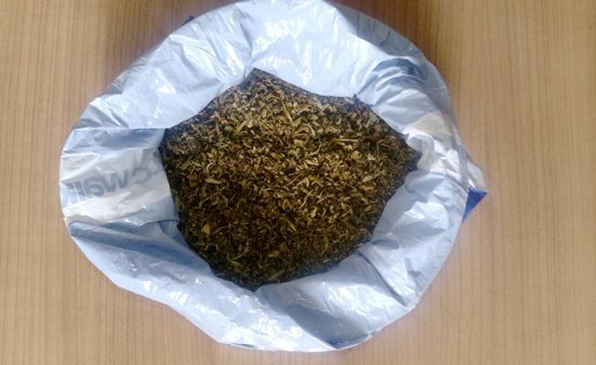 Nevşehir’de 250 gram bonzai ele geçirildi