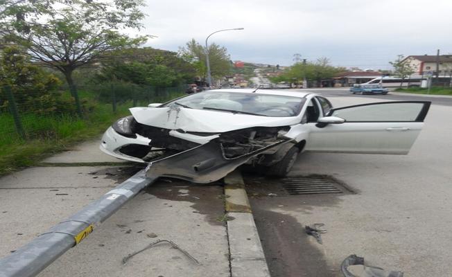 Arı sokan sürücü otomobiliyle direğe çarptı