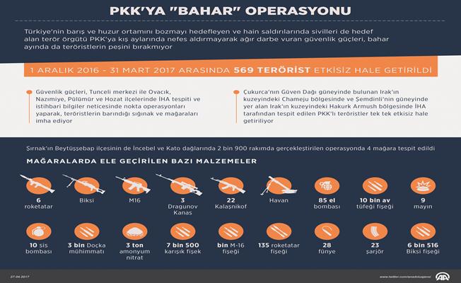 PKK'ya bahar operasyonu