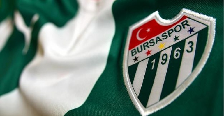 2017, Bursaspor'a yaramadı