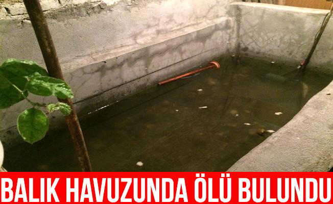 Bahçedeki havuzda ölü bulundu