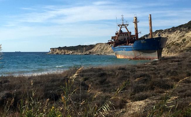 Bozcaada'nın "davetsiz misafir"i cazibe merkezi oldu