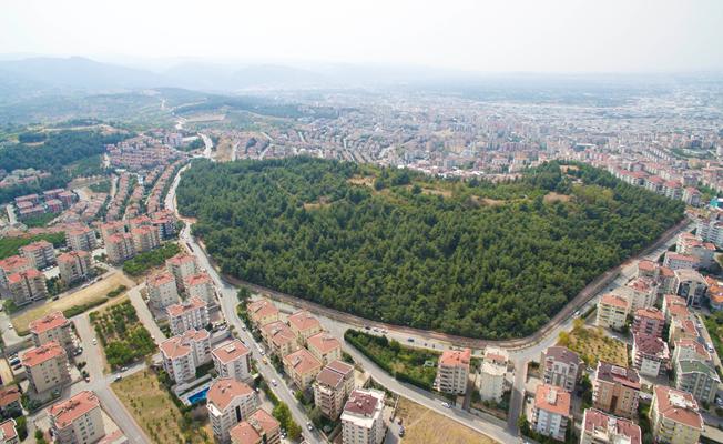 “Cephanelik yeşil kalsın” çağrısı