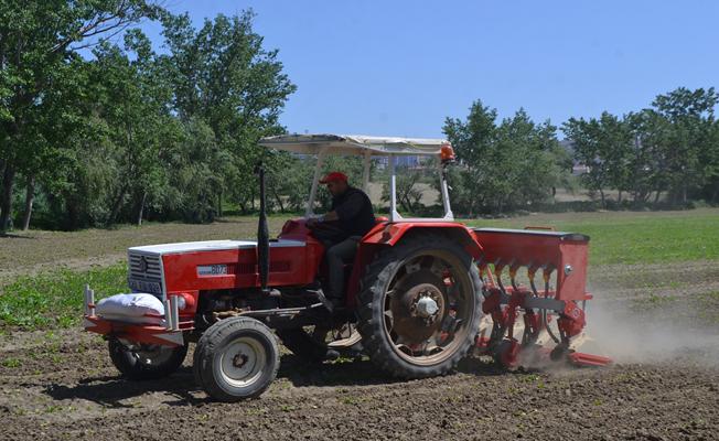 Pancar üreticileri maksimum verim için çalışıyor