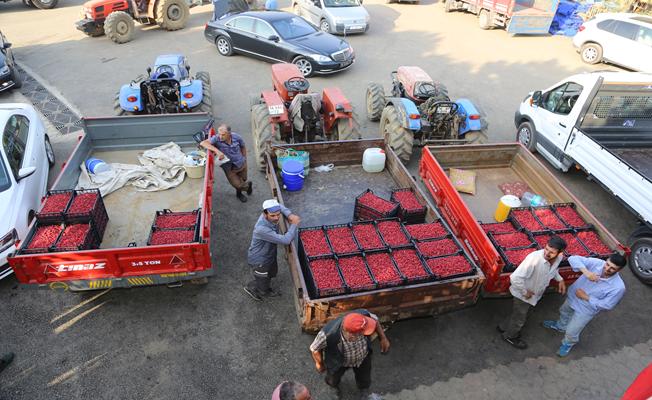 Bursa'da ahududuyu destekleme alımları