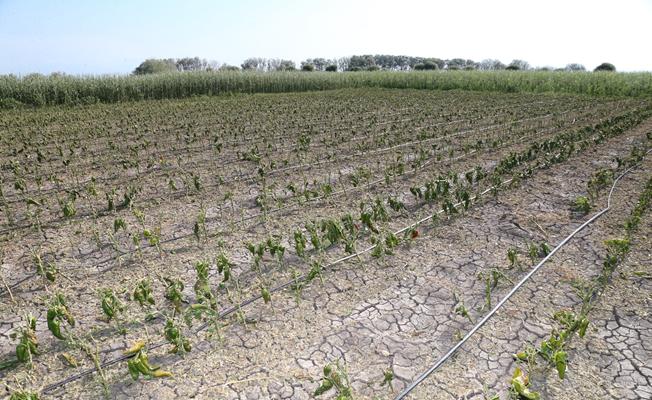 Dolunun vurduğu çiftçiye Büyükşehir´den destek