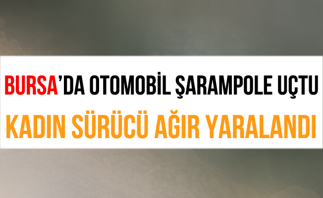 Bursa İnegöl'de Takla Atan Otomobil Şarampole Yuvarlandı