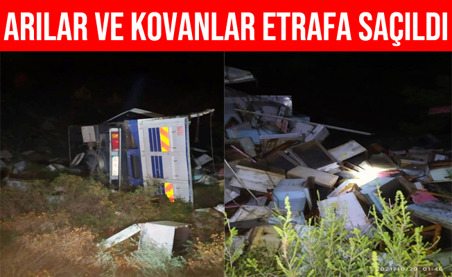 Muğla'da Arı Kovanı Taşıyan Kamyonet Devrildi