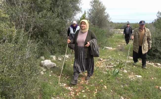 4 gündür kayıp olan 3 çocuk annesi kadın zeytinlikte bulundu