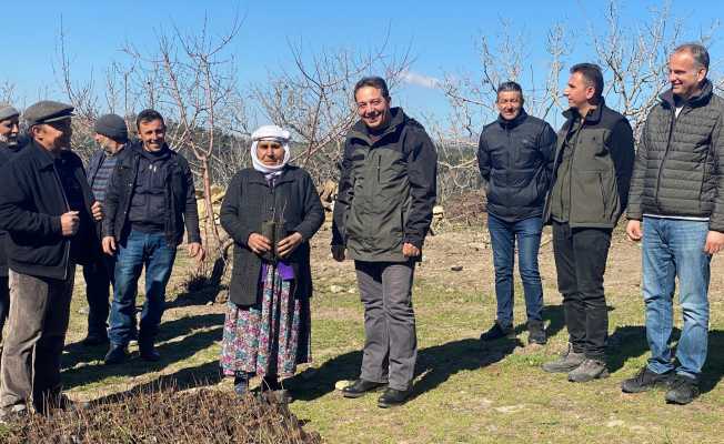 Antep fıstıkları ormanla buluştu