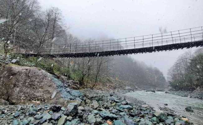 Artvin’de define avcıları dereyi köstebek yuvasına çevirdi