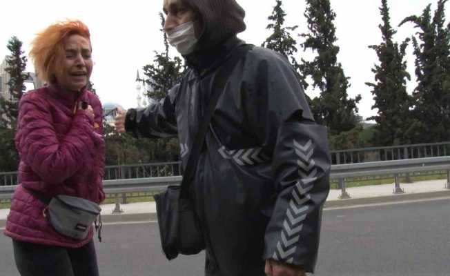 Ataşehir’de otomobiliyle kediye çarpan sürücü gözyaşlarına boğuldu