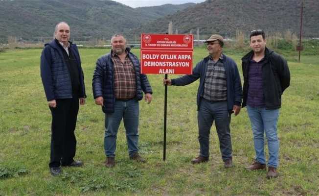 Aydın’da yerli tohum kullanımının arttırılmasına yönelik çalışmalar sürüyor