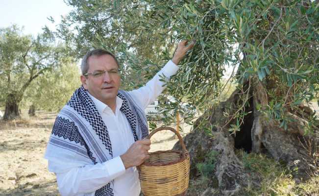 Ayvalık Belediye Başkanı Ergin’den zeytin ağacı tepkisi