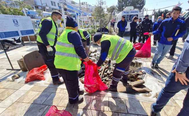 Balık ihracatında hedef 2 milyar dolar