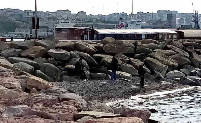 Bandırma’ da 2 ay önce çekilen deniz yerine gelmedi