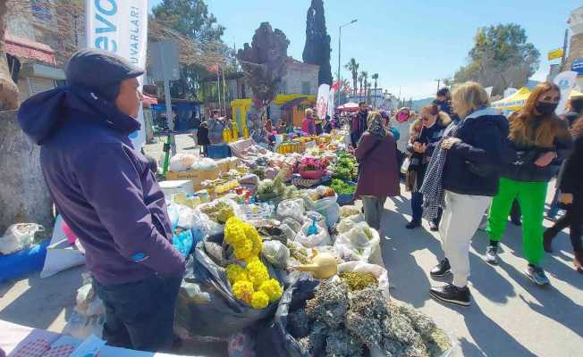 Bodrum’da bu defa ’ot festivali’ düzenlendi