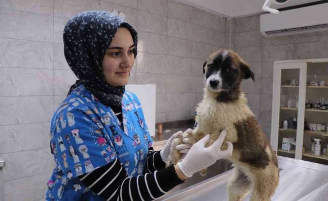 Bolu’daki görüntülere Başkan Özlü duyarsız kalmadı