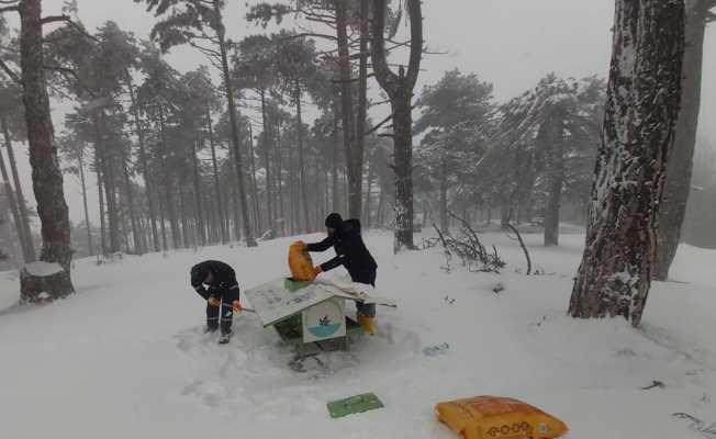 Can dostlar soğuk havalarda unutulmadı