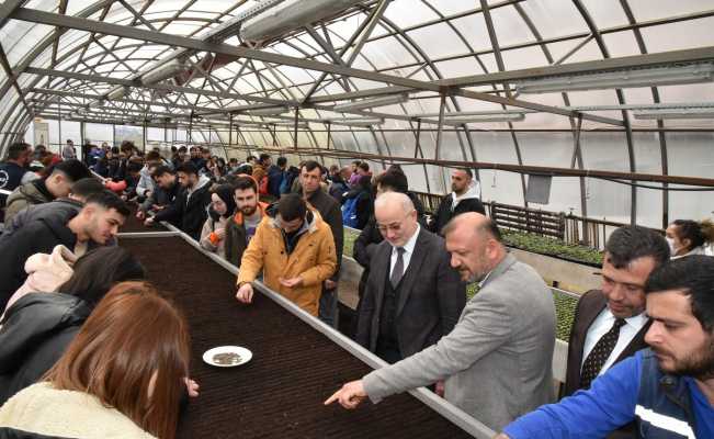 Çiçeklerin geliri kırsal mahalle okullarına