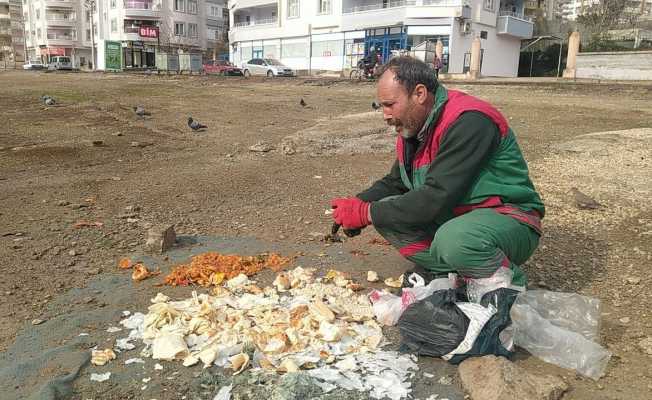 Çöplerdeki ekmeklerle 12 yıldır kuşları besliyor